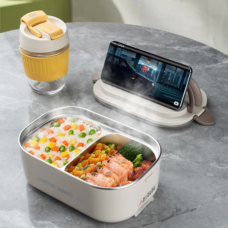 220V 110V Electric Lunch Box S - Meal Prep Tupperware review and price