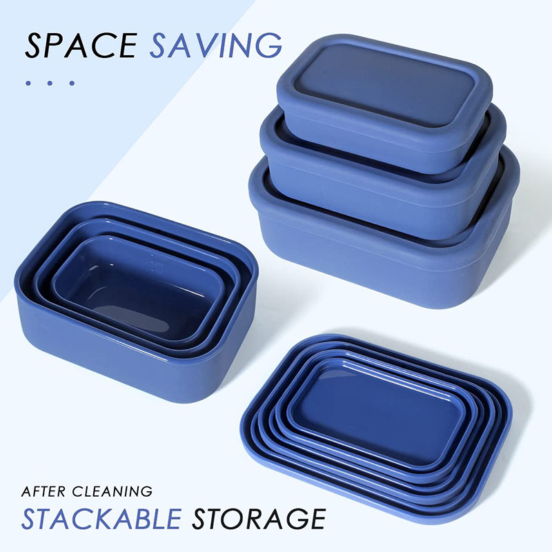 Leak-Resistant Bento Lunch Box - Meal Prep Tupperware review and price