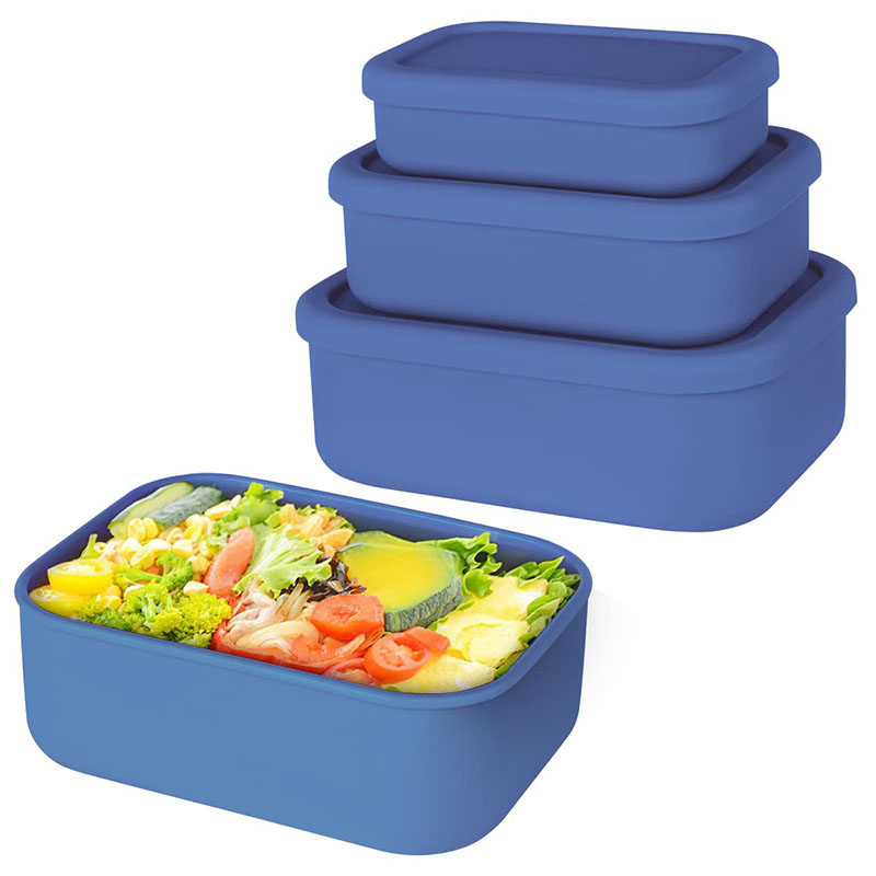 Leak-Resistant Bento Lunch Box - Meal Prep Tupperware review and price