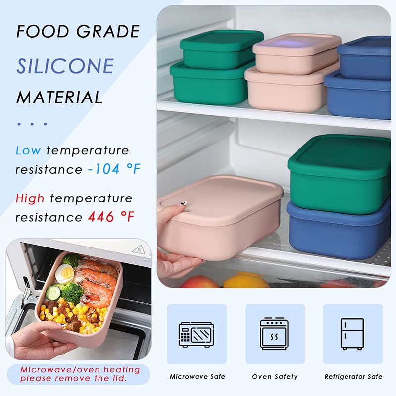 Leak-Resistant Bento Lunch Box - Meal Prep Tupperware review and price